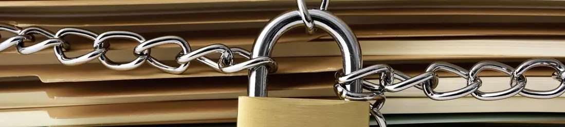 Custodia Plus vs. Custodia Stándard